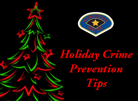 Holiday Crime Prevention.jpg